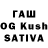 Псилоцибиновые грибы Cubensis TVER $69