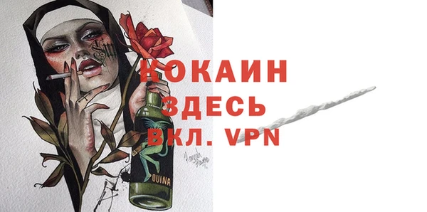 spice Богородск