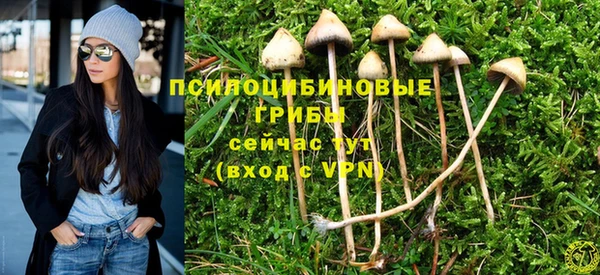 соль ск Лихославль