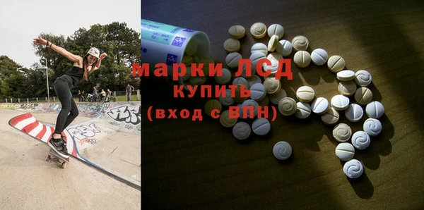 гидра Липки