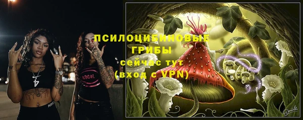 соль ск Лихославль