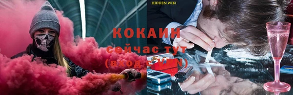 гидра Липки