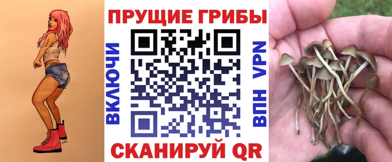 сколько стоит  МЕГА ТОР  Галлюциногенные грибы Cubensis  Лихославль 